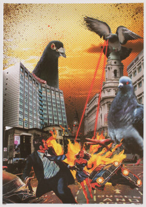The Birds