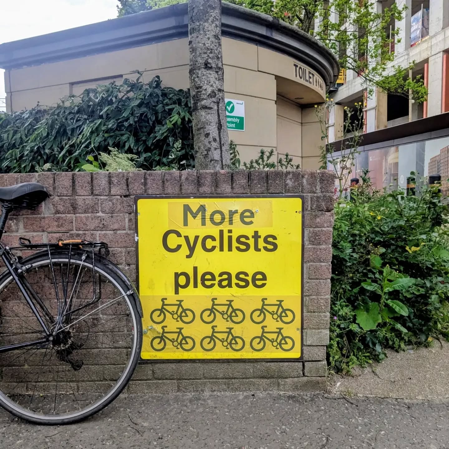 More Cyclists Please