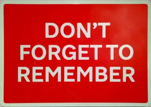 Don't Forget to Remember